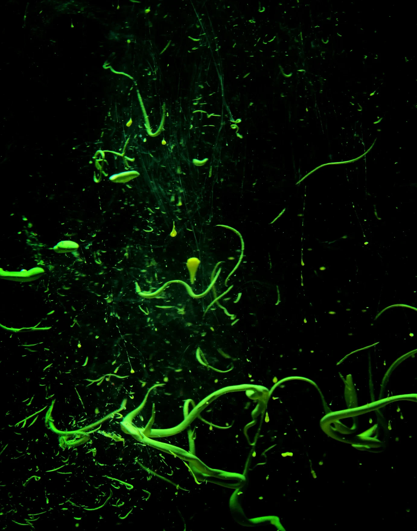 Abstract image for cicd project